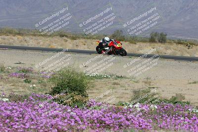 media/Feb-04-2023-SoCal Trackdays (Sat) [[8a776bf2c3]]/Turn 15 Inside Blooming (1050am)/